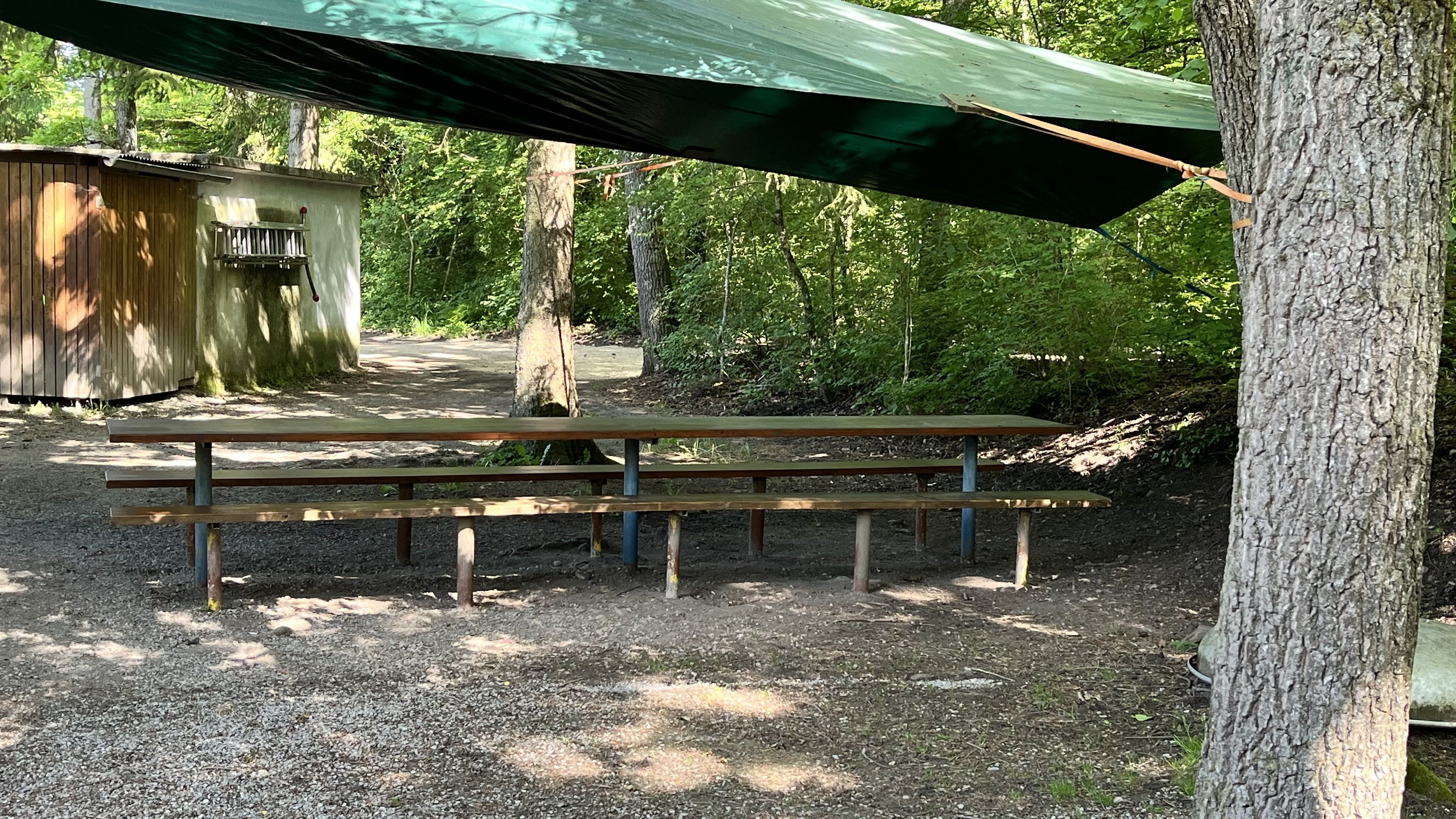 Waldbank